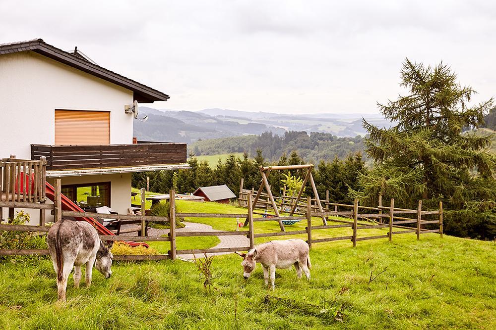 Pension Haus Am Einberg Meschede Luaran gambar